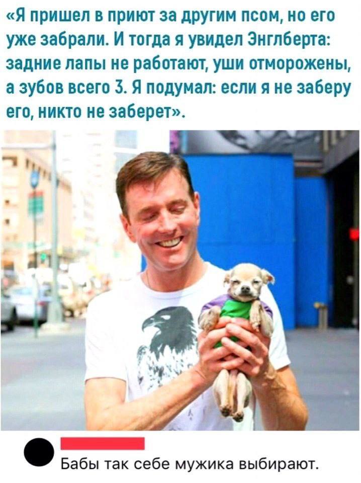 «Я пришел в приют за другим псом, но его уже забрали. И тогда я увидел Энглберта: задние лапы не работают, уши отморожены, а зубов всего 3. Я подумал: если я не заберу его, никто не заберет». Бабы так