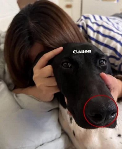canon