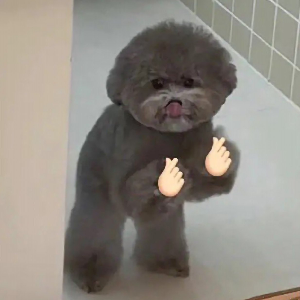 В у 6