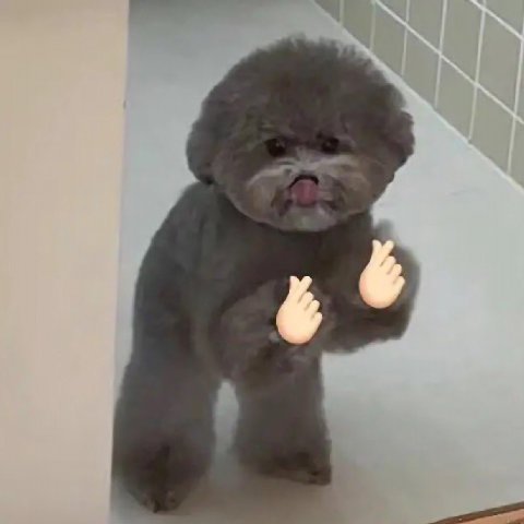 В у 6