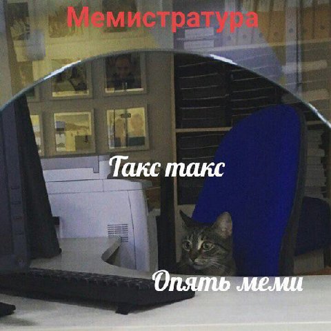 Такс такс Опять меми