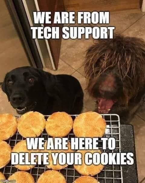 WE ARE FROM TECH SUPPORT а 10: COOKIES