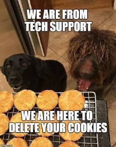 WE ARE FROM TECH SUPPORT а 10: COOKIES