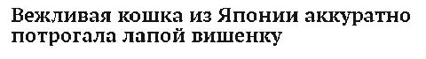 Вежливая кошка из Японии аккуратно потрогала лапой вишенку