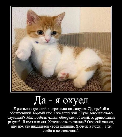 Да я охуел Я реально охуевигий и нереально пизданулся. Да, грубый и обнаглевший. Борзый хам. Охуевший хуй. Я уже говорил слово охуевший? Мне поебать челик, обосрался обтекай. Я фривольный разухаб. Я с