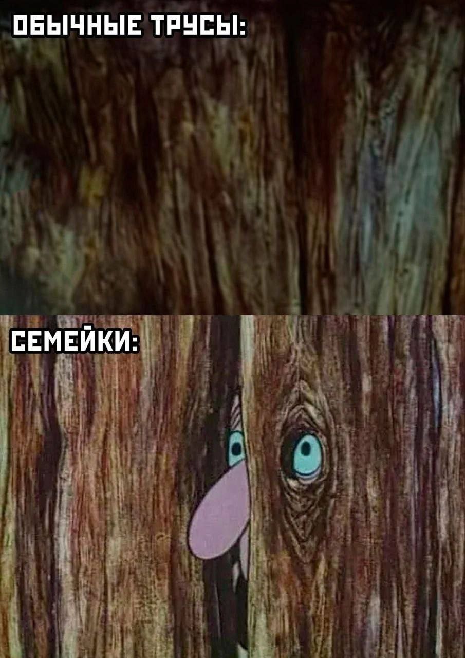 ОБЫЧНЫЕ ТРУСЫ: СЕМЕЙКИ: