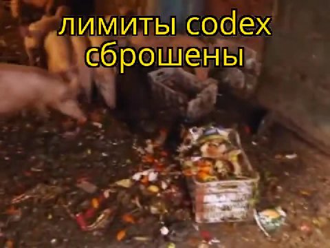 лимищьцео<ех „лимиты Codex © “сброшены ЧИсорошеный | + еброшены . >