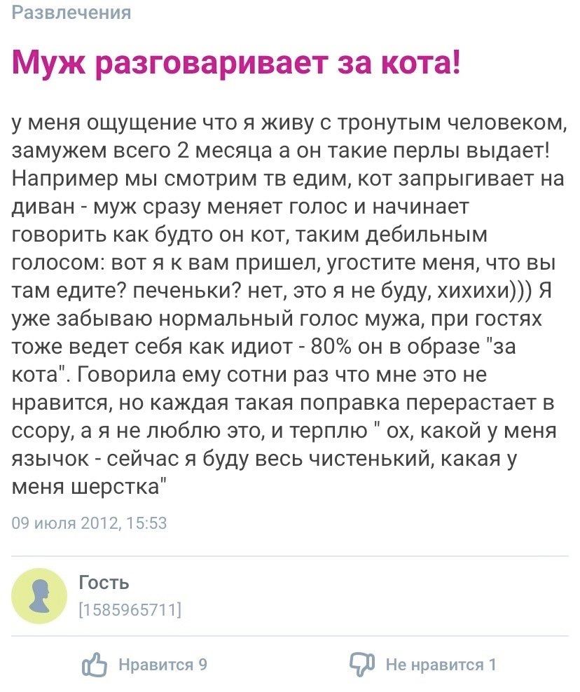 Развлечения Муж разговаривает за кота! у меня ощущение что я живу с тронутым человеком, замужем всего 2 месяца а он такие перлы выдает! Например мы смотрим едим, кот запрыгивает на диван муж сразу мен