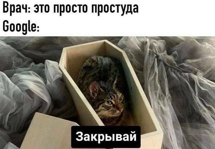 Врач: это просто простуда Google: Закрывай