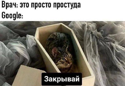 Врач: это просто простуда Google: Закрывай