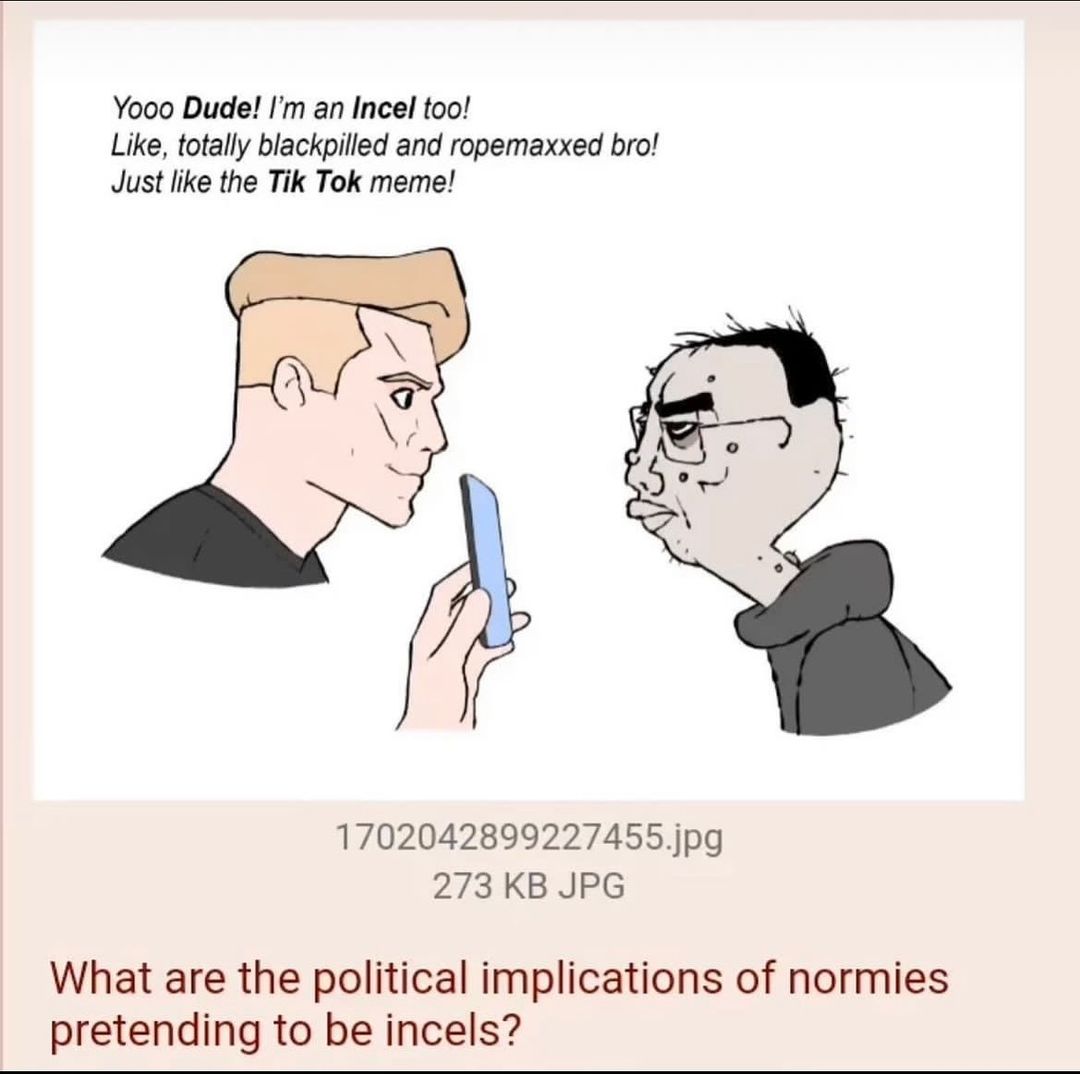 Yooo Dude! an Incel too! Like, totally blackpilled and ropemaxxed bro! Just like the Tik Tok meme! 1702042899227455.jpg 273 JPG What are the political implications of normies pretending to be incels?