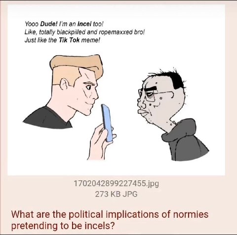 Yooo Dude! an Incel too! Like, totally blackpilled and ropemaxxed bro! Just like the Tik Tok meme! 1702042899227455.jpg 273 JPG What are the political implications of normies pretending to be incels?