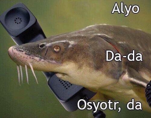 Alyo Da-da Osyotr,