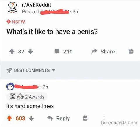 r/AskReddit Posted NSFW What's it like to have а penis? 4 32 210 Share BEST COMMENTS 2 Awards It's hard sometimes 4 Reply boredpanda .com