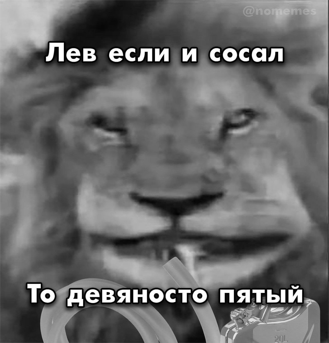 Лев если и сосал То девяносто пятый,