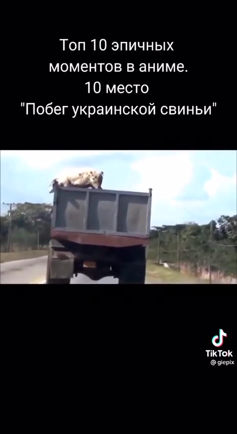 Топ 10 эпичных моментов в аниме. "Побег украинской свиньи"