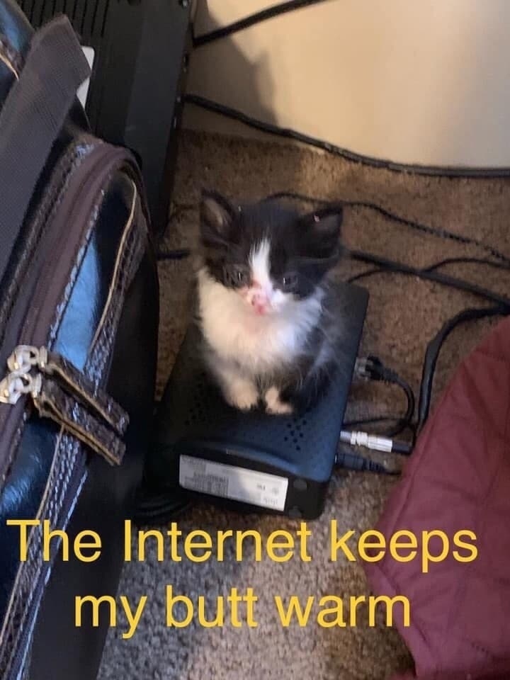 The Internet keeps my butt warm