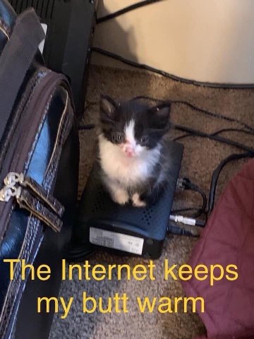 The Internet keeps my butt warm
