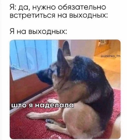 Я: да, нужно обязательно встретиться на выходных Я на выходных я