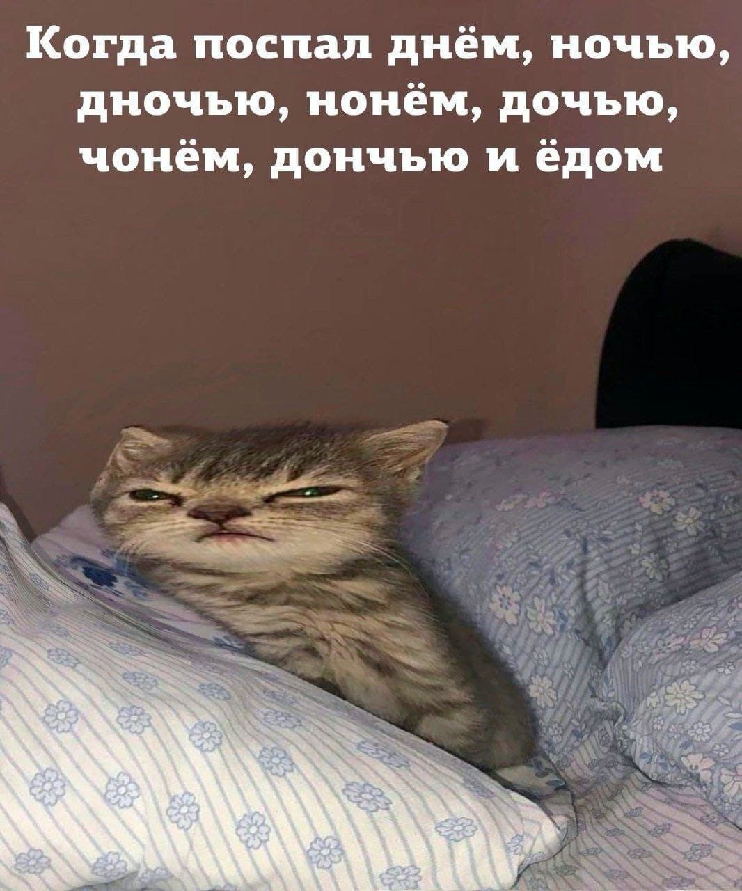 Когда поспал днём, ночью, дночью, нонём, дочью, чонём, дончью и ёдом
