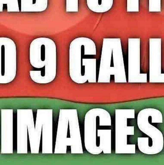 )9 GALI IMAGES