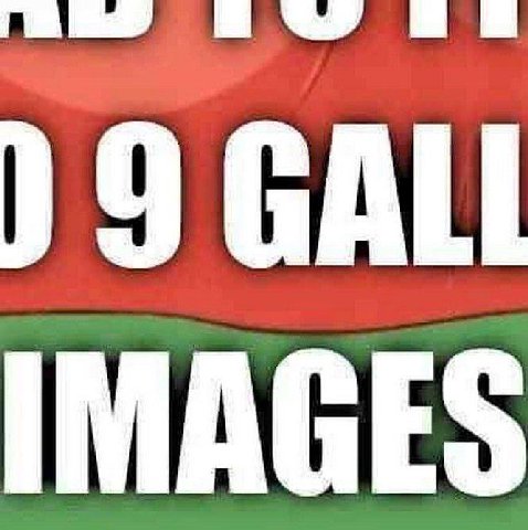 )9 GALI IMAGES
