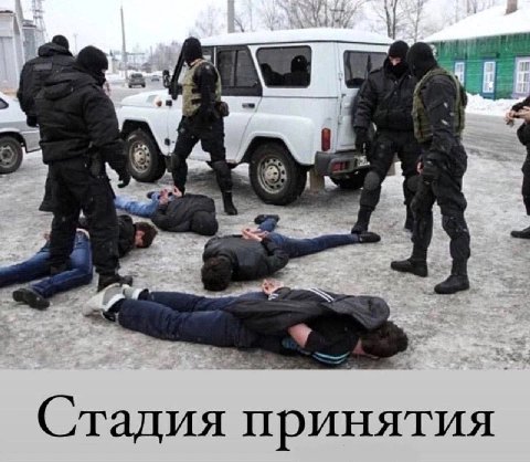 Стадия принятия