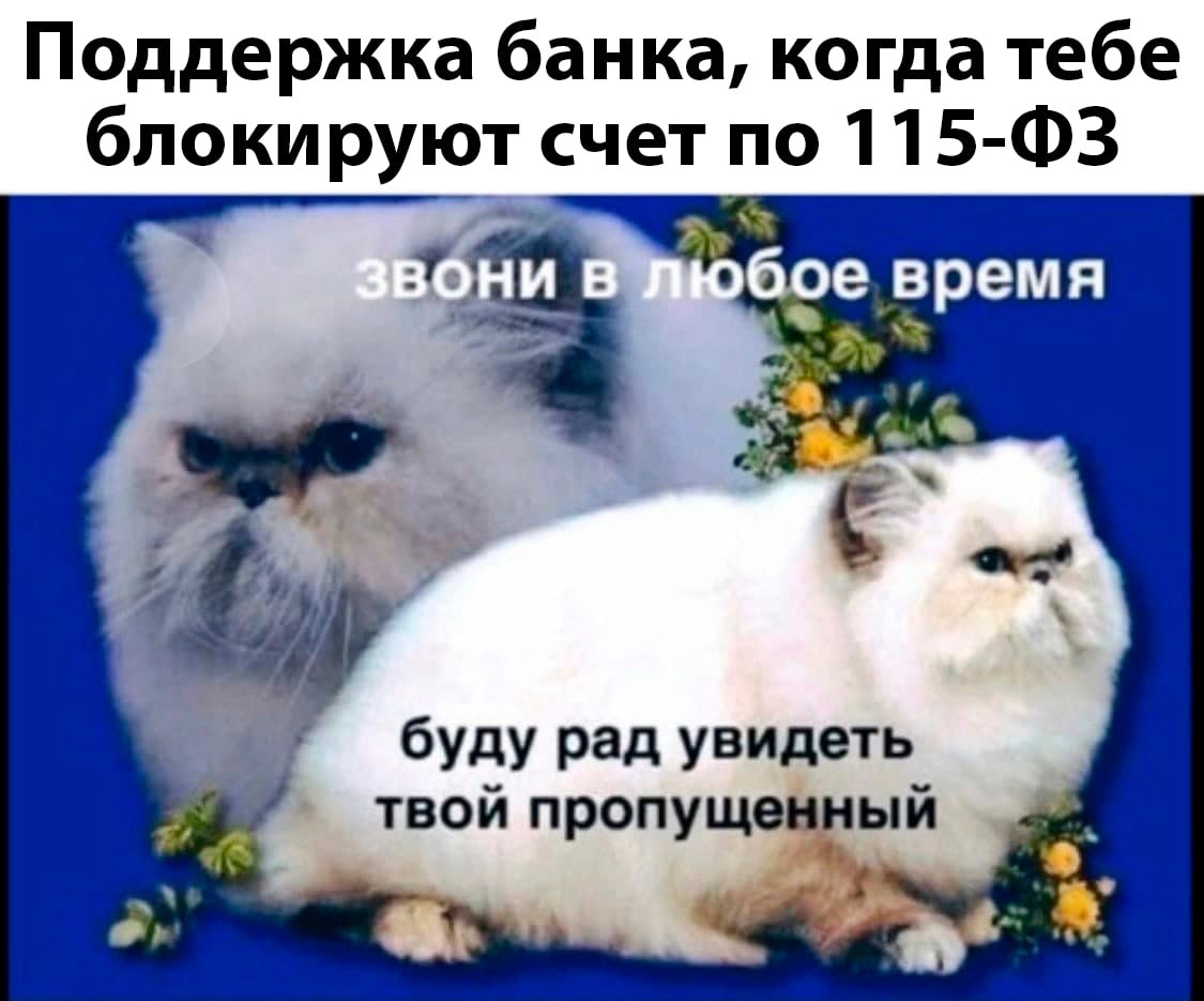 Поддержка банка, когда тебе блокируют счет по обое время 4 буду рад увидеть твой пропущенный