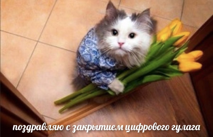 открытка москвичам