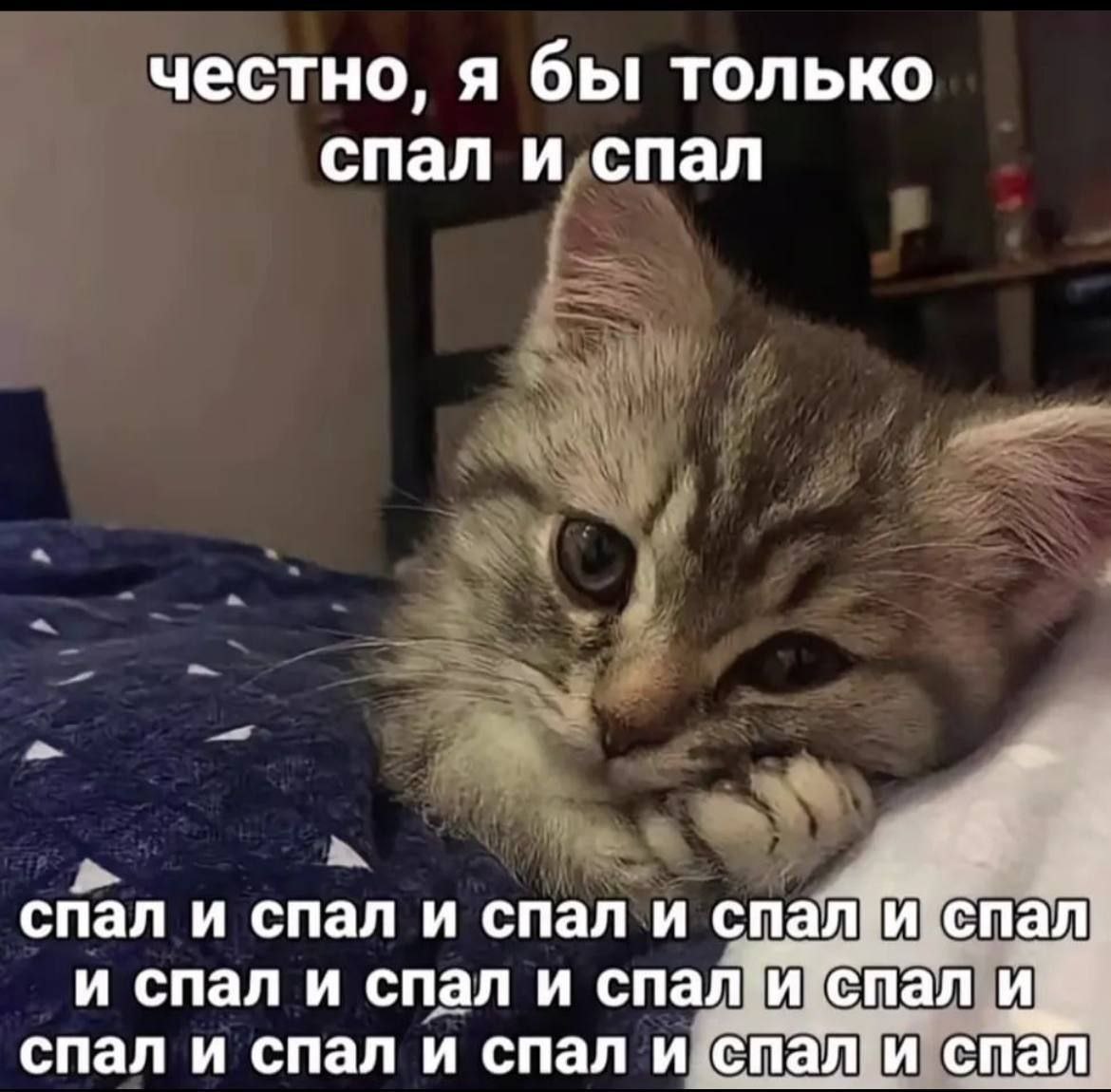 честно. я бы только спал и спал спал и спал и спал и спал и спал и спал и спал. спал и. спал и спал и спал и спал и спал
