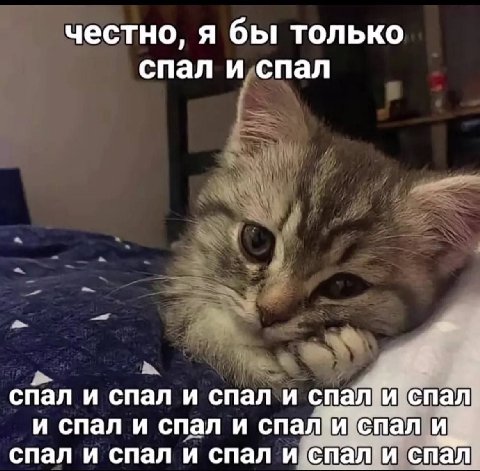 честно. я бы только спал и спал спал и спал и спал и спал и спал и спал и спал. спал и. спал и спал и спал и спал и спал