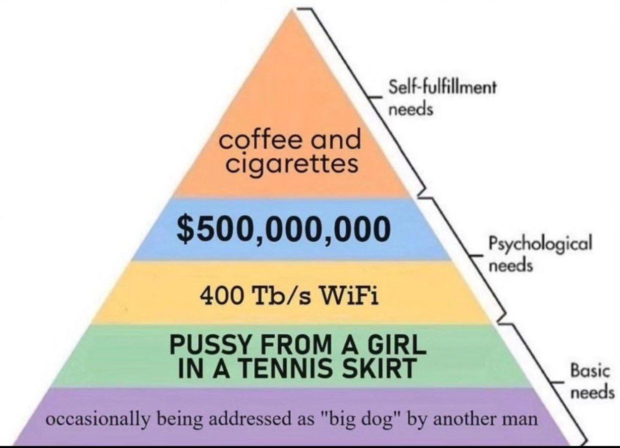Self-fulfillment needs needs 400 ТЬ/з WiFi TENNIS SKIRT Basic needs