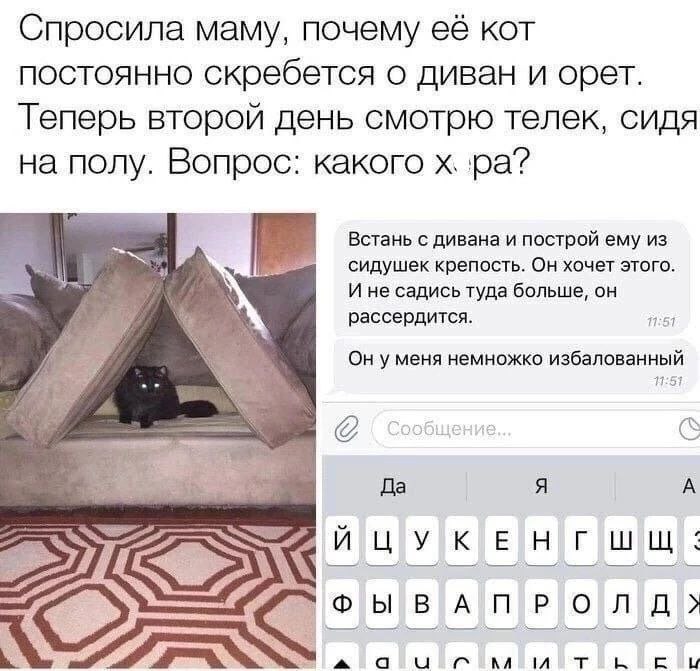 Спросила маму, почему её кот ПОСТОЯННО скребется о диван и орет. Теперь второй день смотрю телек, сидя на полу. Вопрос: какого Встань с дивана и построй ему из сидушек крепость. Он хочет этого. И не с