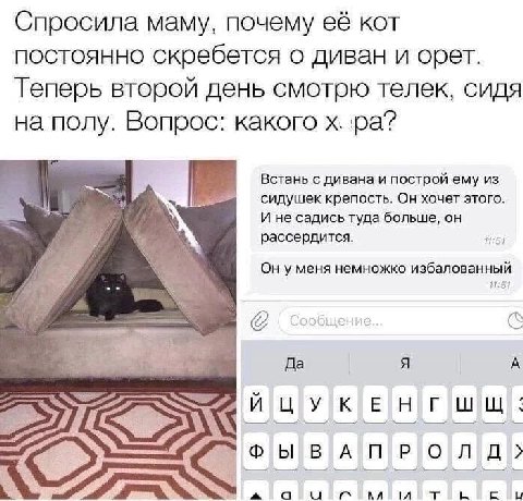 Спросила маму, почему её кот ПОСТОЯННО скребется о диван и орет. Теперь второй день смотрю телек, сидя на полу. Вопрос: какого Встань с дивана и построй ему из сидушек крепость. Он хочет этого. И не с