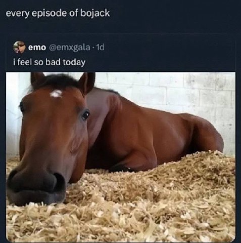 every episode of bojack emo @emxgala i feel so bad today A