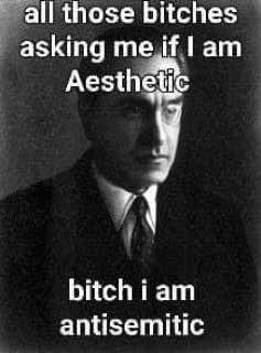 all those bitches asking Гат Aesthetic у "1 bitch тат antisemitic