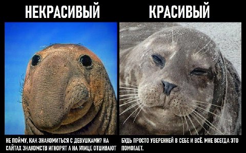 НЕКРАСИВЫЙ КРАСИВЫЙ НЕ ПОЙМУ, КАК ЗНАКОМИТЬСЯ С ДЕВУШКАМИ? НА БУДЬ ПРОСТО УВЕРЕННЕЙ В СЕБЕИ BCE. МНЕ ВСЕГДА ЭТО САЙТАХ ЗНАКОМСТВ ИГНОРЯТ А НА УЛИЦЕ ОТШИВАЮТ ПОМОГАЕТ.