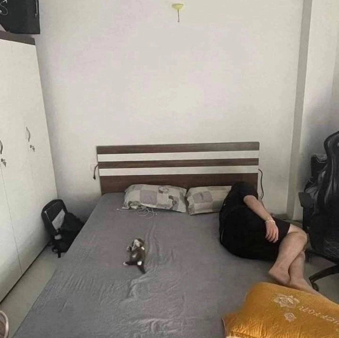 5 5 я A