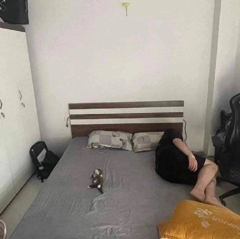 5 5 я A