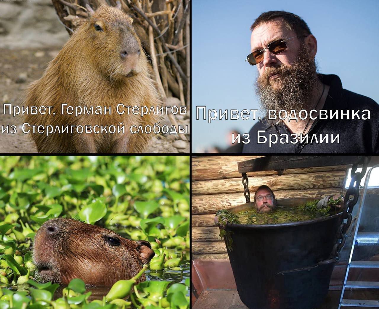 Привет. Герман Стерлигов, Привет. водосвинка из Стерлиговской слободы! 29 ‚из 2 1 Fond у