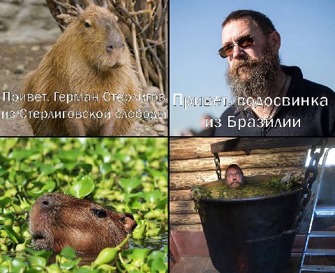 Привет. Герман Стерлигов, Привет. водосвинка из Стерлиговской слободы! 29 ‚из 2 1 Fond у