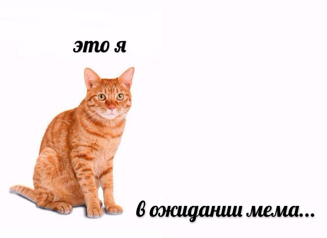 как я вижу подписчиков
