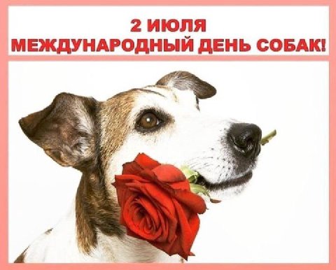 2 ИЮЛЯ МЕЖДУНАРОДНЫЙ ДЕНЬ СОБАК!