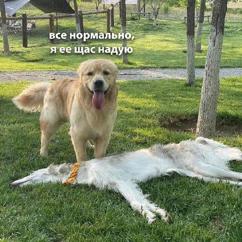 все нормально, Я ее щас надую