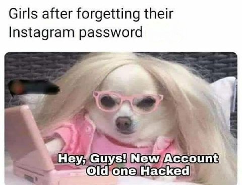 Girls after forgetting their Instagram password Hey; Guys! New,