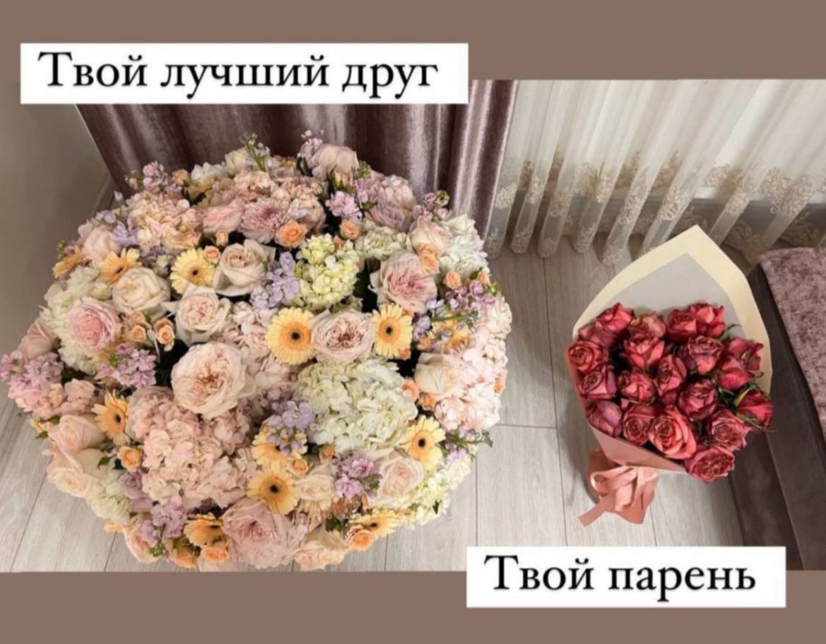 Твой лучший друг Vor 7 к Твой парень