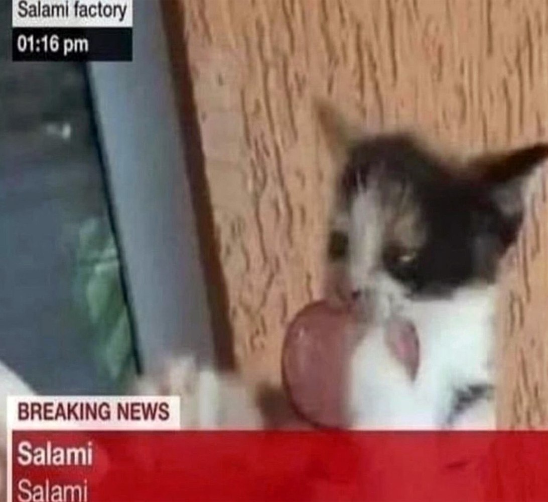 01:16 BREAKING NEWS Salami Salami