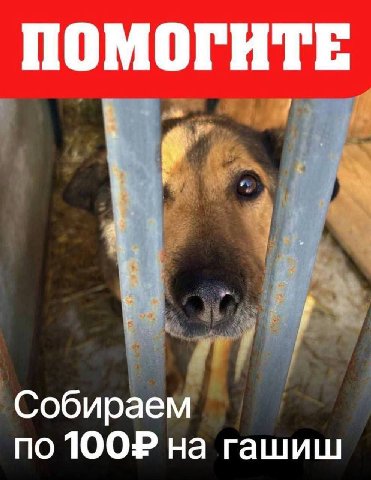 ПОМОГИТЕ Собираем по на гашиш