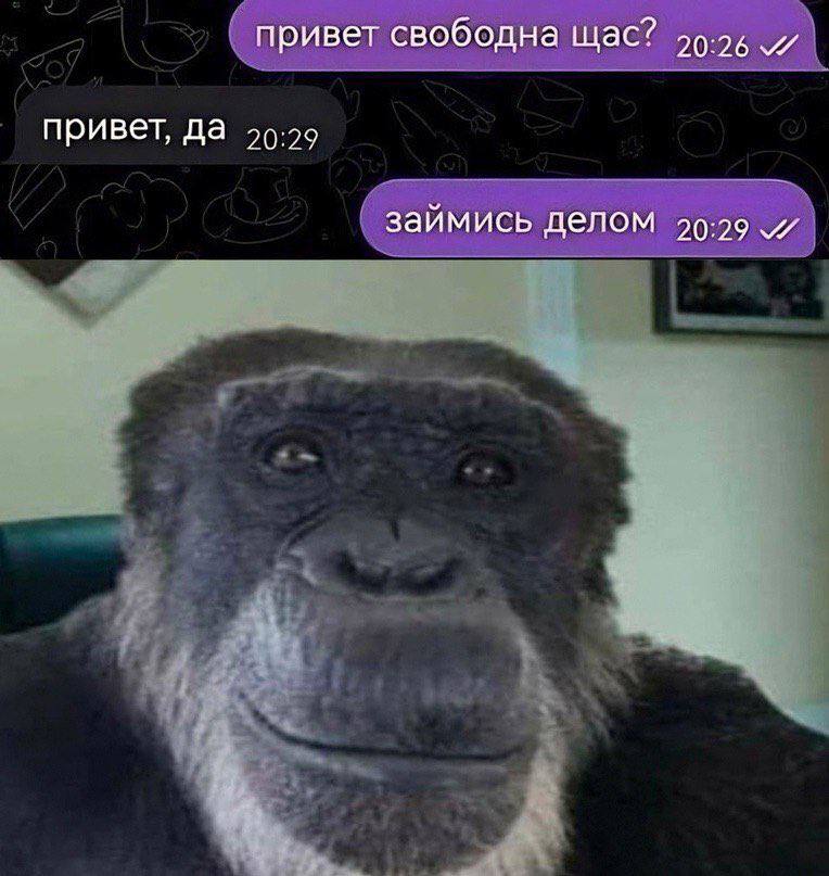 привет свободна щас? 90-96 привет, да 20:29 займись делом 20:29 и