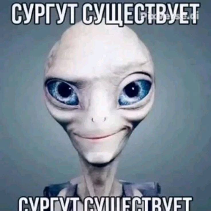 СУРГУТ СУЩЕСТВУЕТ ГАЛИЕСТВУЕТ